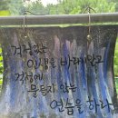 오일장펜션 | 강원도 여행 정선 오일장 아우라지글램핑 속초 맛집들