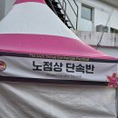 (주)진해군항렌터카 | 군항 나이트 페스타 진해 중원로터리 2026 진해군항제 후기