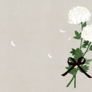 (주)이웃사람들 한겨레