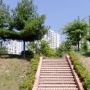 관저체육공원운동장 축구장 이미지