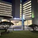 주품디자인 | 두돌아기랑 롯데리조트속초 캐릭터스위트 로티&로리, 인피니티풀 후기_롯데리조트 속초