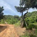 여주-0773 이미지