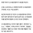 신사동호랭이 숨진 채 발견됐대 이미지