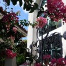 오늘, 정원 이미지