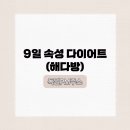 독일 피엠쥬스로 9일 속성 다이어트 (feat. 해다방)