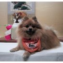 강한우리동물병원 이미지