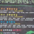 충남 금산군 제원면 금강 솔바람길-금강 여울목길/2023.3.14.화(2/2) 이미지