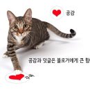 신전떡볶이 정자점