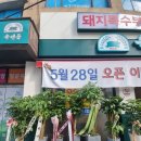 수지구청 이미지