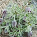 십일남매 이미지