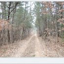 안계1리 이미지