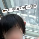 영암축협 한우프라자 네이버블로그