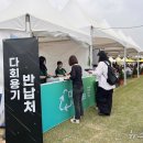 환경마실축제 뉴스1