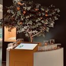 감귤박물관 | [제주감귤박물관 내돈내산체험 후기: 싱싱한 제주 감귤을 만나는 특별한 여행]