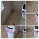 부흥로315번길 18 이미지