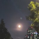 보라매슈퍼 이미지