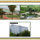 나곡체육공원 이미지