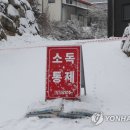 양영석농장 이미지