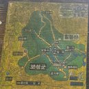 빛이 흐르는 다용도 | [전남●보성]​보성 일림산 철쭉 축제 전 방문 후기!/ 현재 개화율 30%지만 행복은 100%!/가족과 함께한...