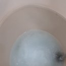 알콩달콩 펫살롱 이미지