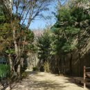 달맞이봉(공원) 이미지