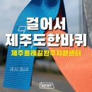 올레캠프알파캠프