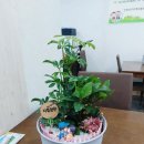 마음을 심는 원예테라피 | [인천교육청 학부모 교육] 내 마음의 정원을 가꾸다 : 자녀와 나를 잇는 원예 테라피 🌿