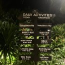 (주)해피베드 | [나트랑] 아미아나 리조트 200%즐기기ㅣ수영장, 해피아워