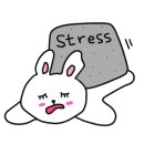 울릉에가면
