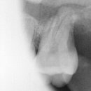 김병수치과의원 이미지