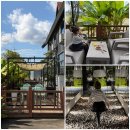 구름이쉬어가는농원 | 고인돌박물관(입장료 및 후기) 근처 고창 카페 추천 백일후애