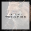 아이건강 이미지