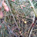 비 개인 후 이미지