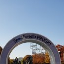 [5060여행친구]서울숲공원단풍여행후기,19,11,7,목 이미지