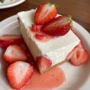 디어터틀(dear turtle) 이미지