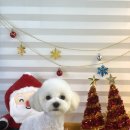 견생 이발소 이미지