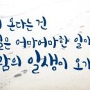 최*용 이미지