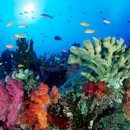 호주프렌즈 이미지