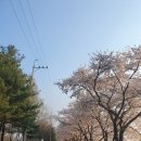 (주)유알지