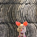 디에이스호텔 이미지