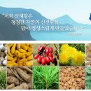 건강식품 환 31종 옥션. 티몬에서 <b>산해랑</b>을 검색해보세요.