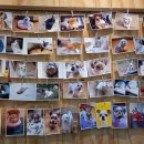 연기장례식장 이미지