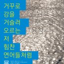 갤러리루시다 이미지