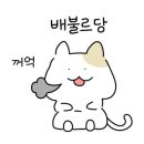 솔뫼갈비