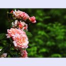 곡성-053 이미지