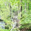 광덕3로2 이미지