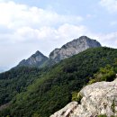 덕산면016 티스토리
