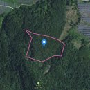 더 부여공인중개사사무소 이미지