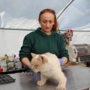 남부동물병원 이미지