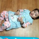 다루코리아 네이버블로그